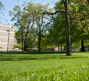 An outdoor photo of the UCM campus