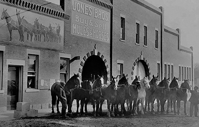 Jones Bros Mule Barn