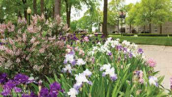 Campus in Bloom