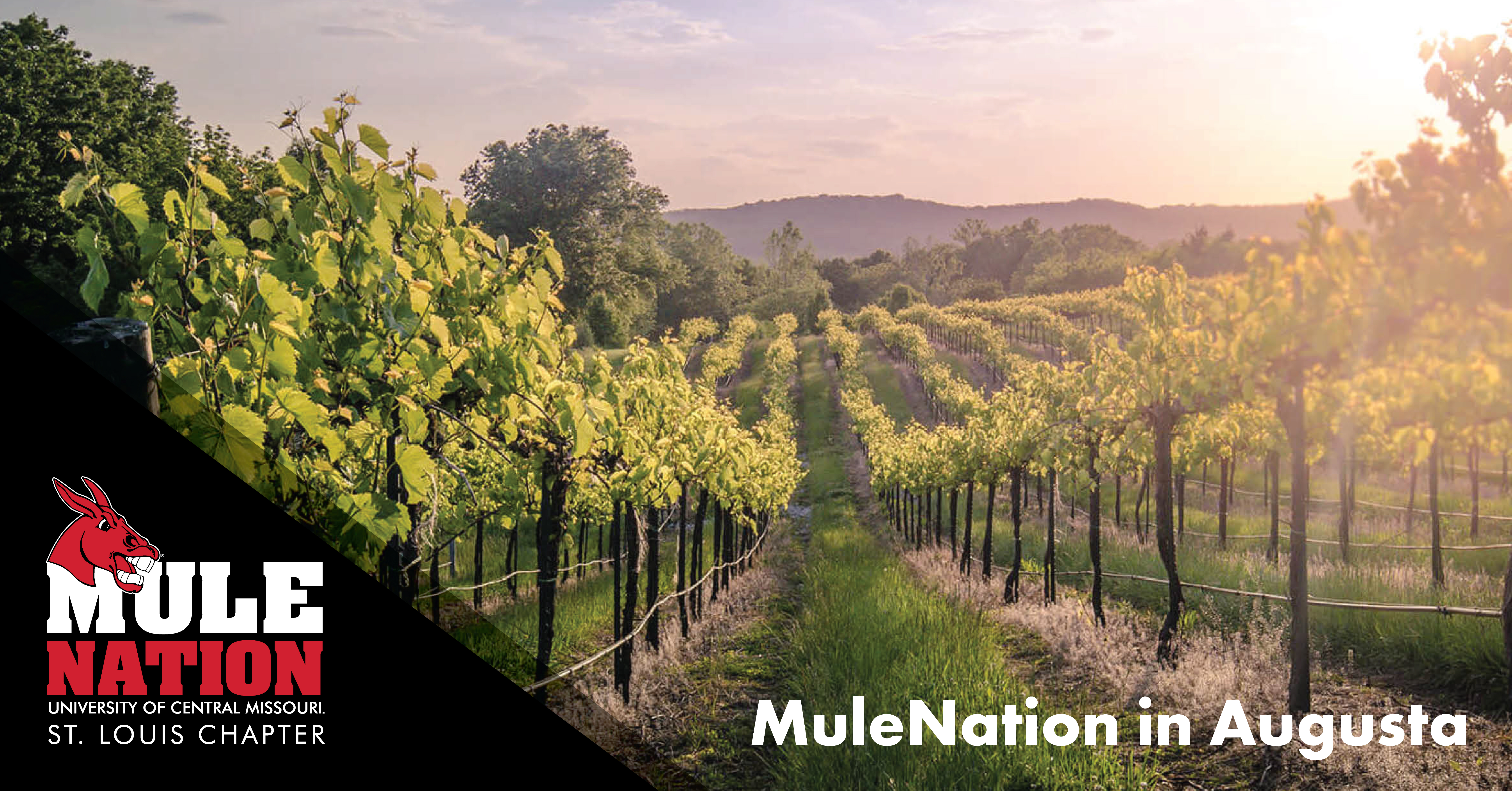 MuleNation at Mount Pleasant Estates