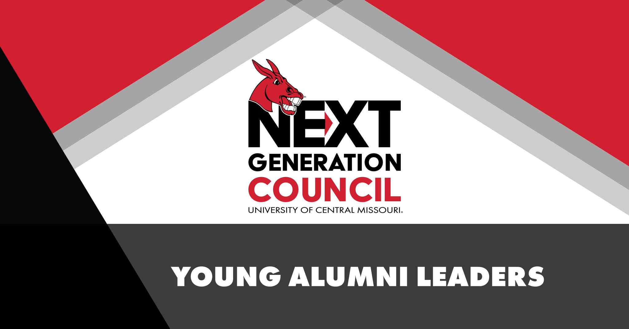 Next Generation Council