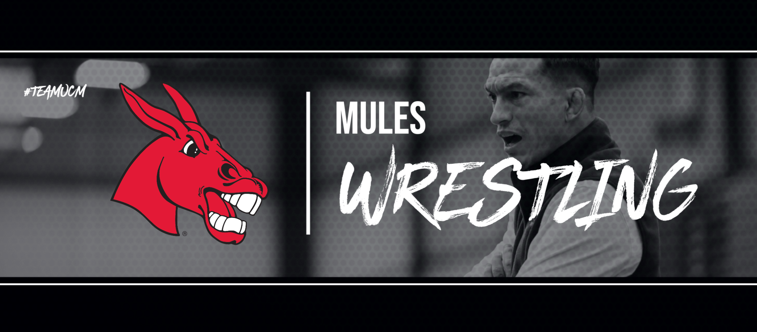Mules Wrestling Graphic